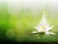 canstockphoto14747541mini